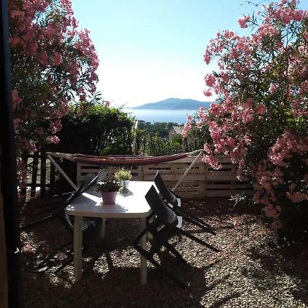 Studio Jardin A Porticcio, Proche Aeroport Ajaccio Apartment Porticcio  Exterior photo